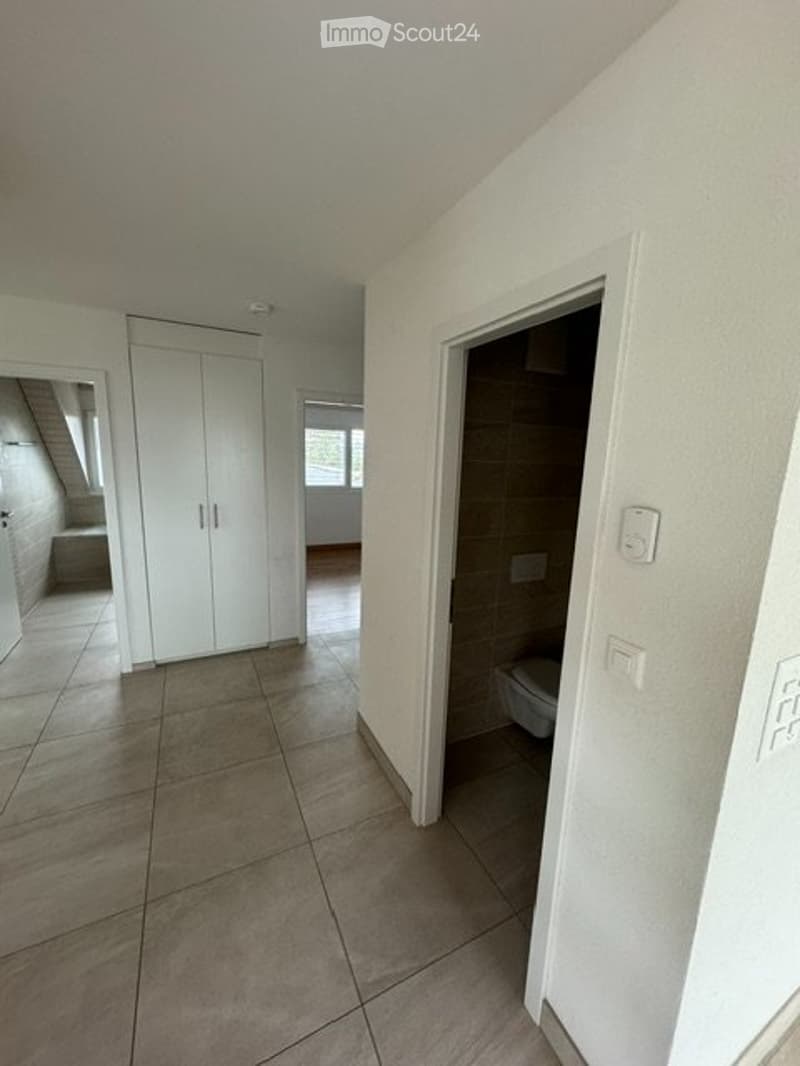 Preverenges - 4.5 Duplex-Penthouse (4)