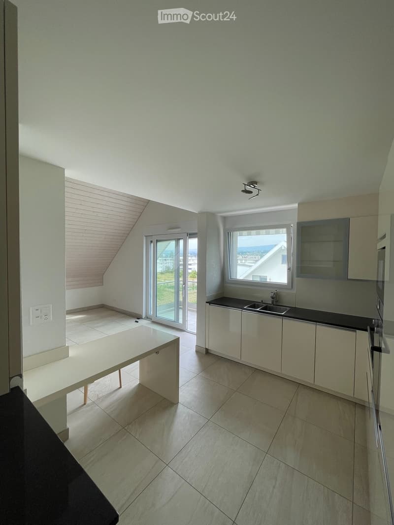 Duplex en attique de 4.5 pièces  vue lac Léman & Jura (5)