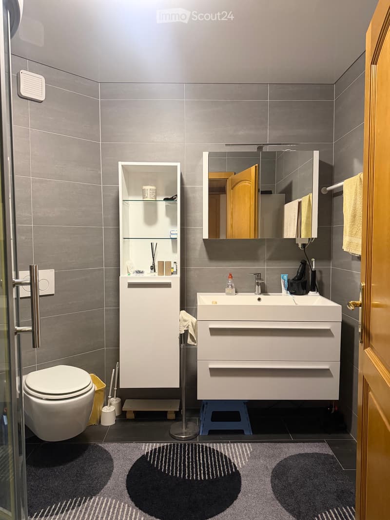 Zu Vermieten: Superbe 3.5 Zimmer-Duplex mit Garage (5)