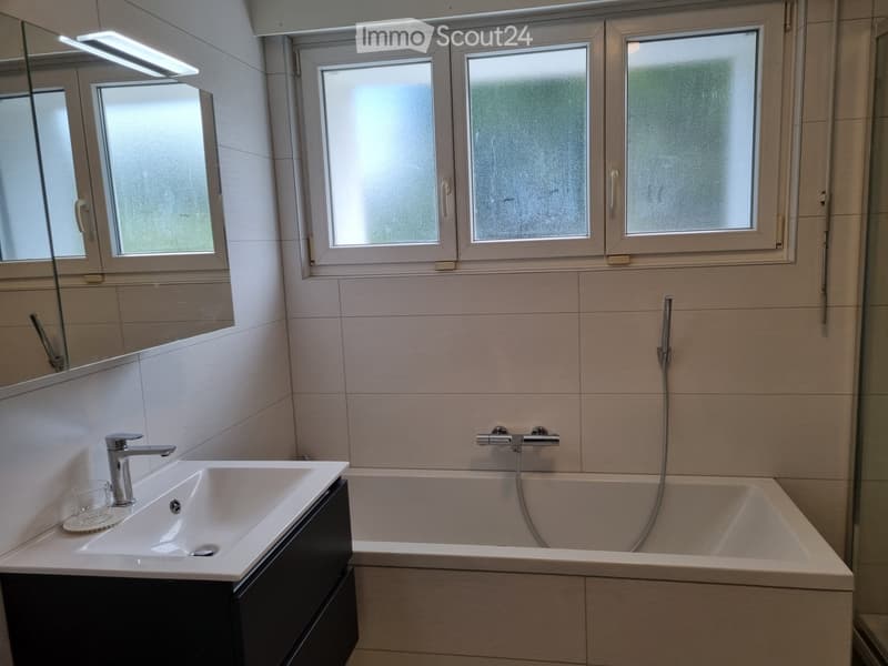 A superb furnished room for rent (4)