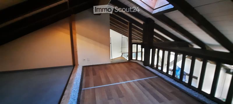 Großes Apartment zur Miete (2)