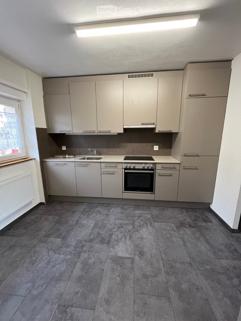 Schönes renoviertes Apartment (1)