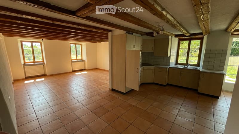 Einfamilienhaus Triplex mit ruhigem Garten (2)