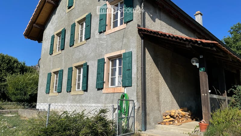 Einfamilienhaus Triplex mit ruhigem Garten (3)