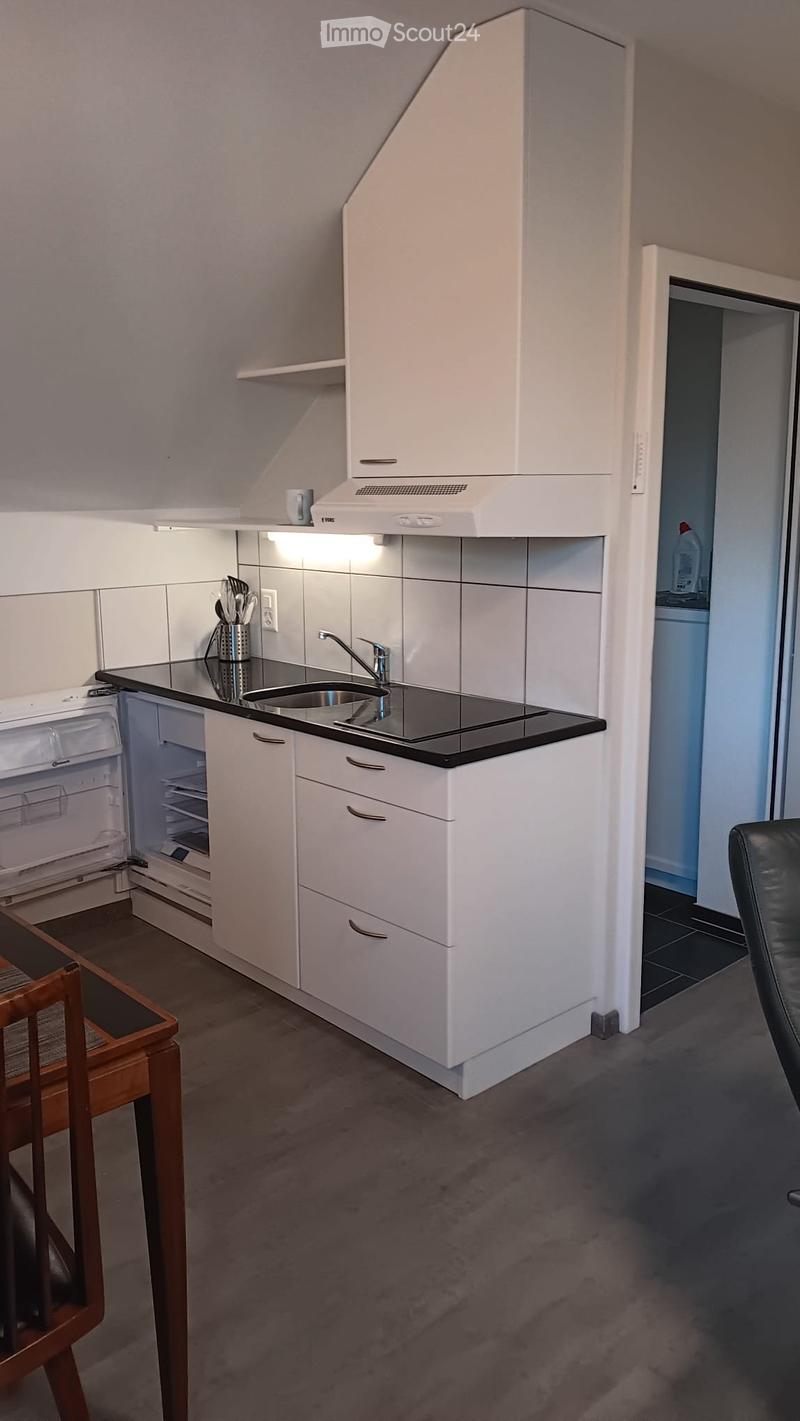 Zweizimmerwohnung hell und möbliert im 2. Stock (4)