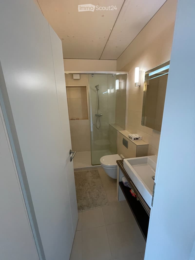 Appartement meublé 3.5 pièces. Disponible immédiatement (4)