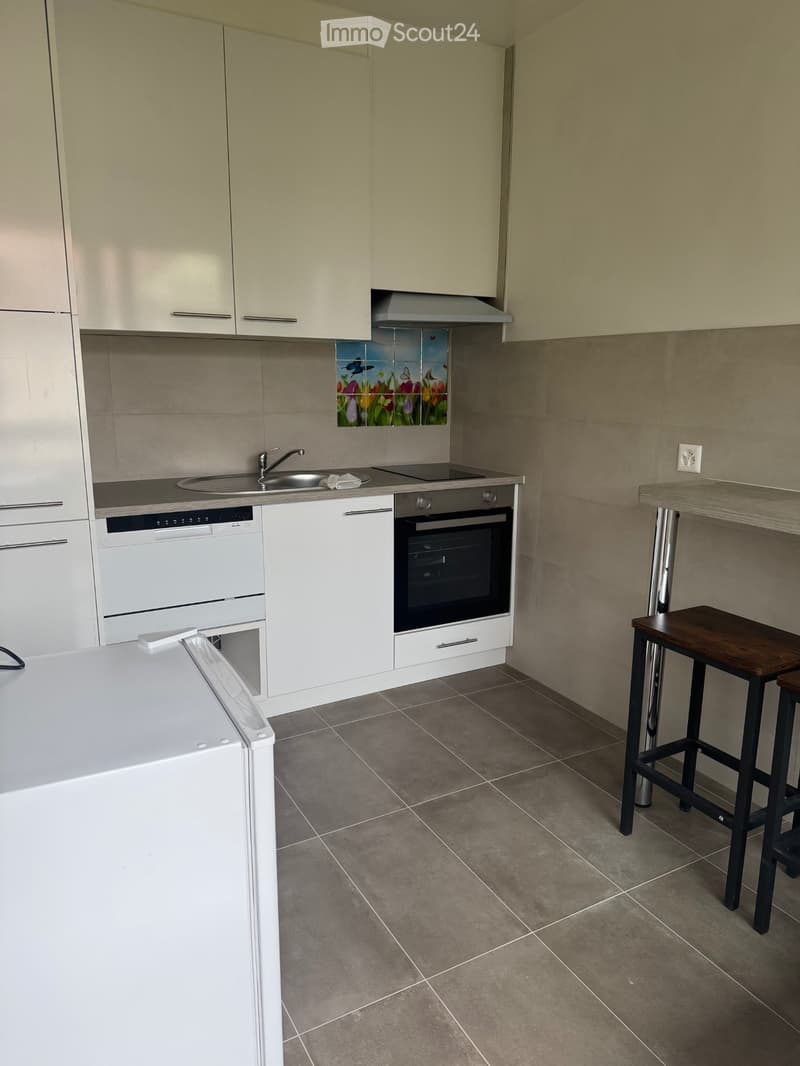 Vente appartement SI/ parking, balcon (2)