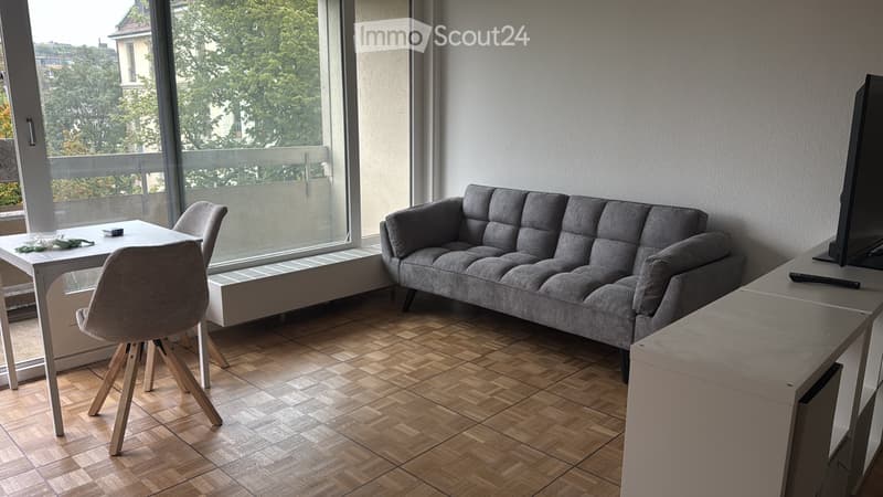 Vente appartement SI/ parking, balcon (3)