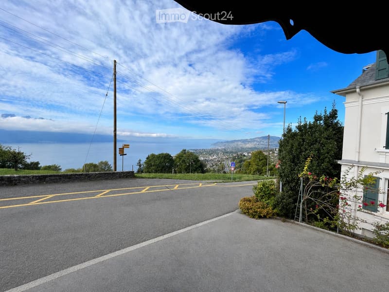 Casa minuscola in affitto con vista magnifica sul Lago di Ginevra (5)