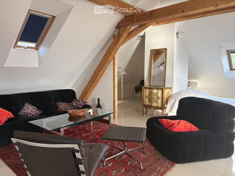 Large furnished studio in Brent - lake view (2)