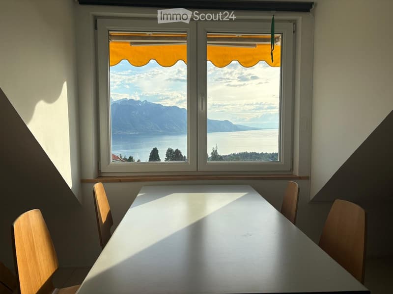 Large furnished studio in Brent - lake view (1)