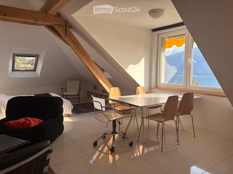Large furnished studio in Brent - lake view (3)