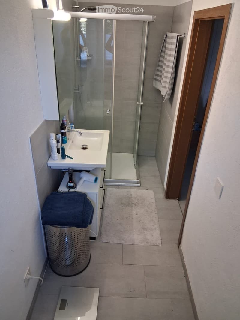 To rent in Zofingen newly renovated 3.5 room apartment (2)