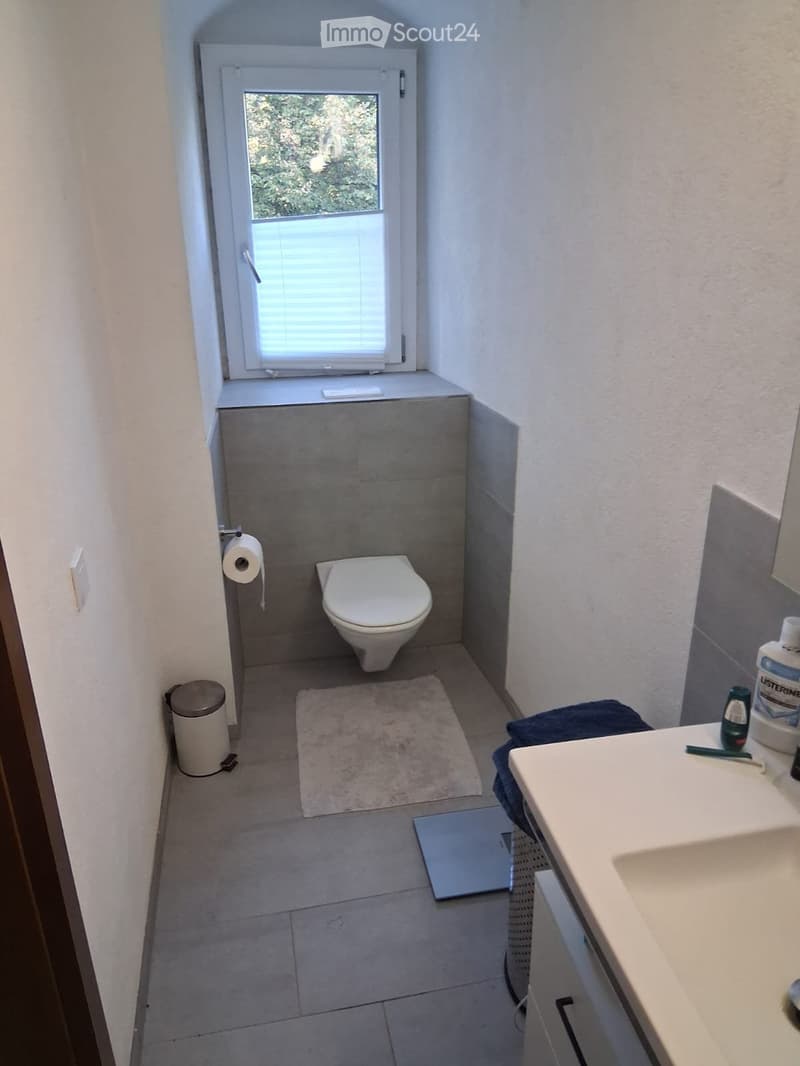 To rent in Zofingen newly renovated 3.5 room apartment (4)