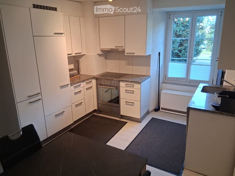 To rent in Zofingen newly renovated 3.5 room apartment (3)