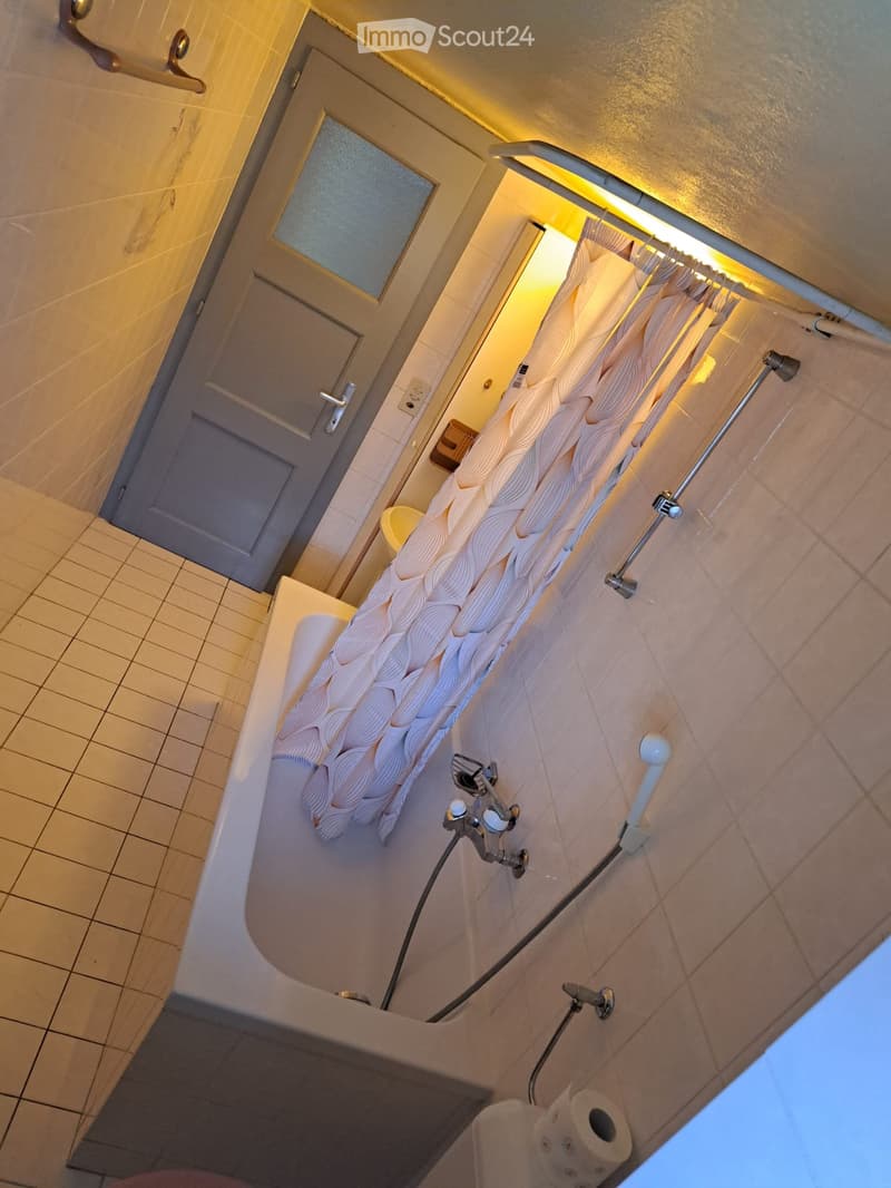 Charmanter Apartment in Lens (4)