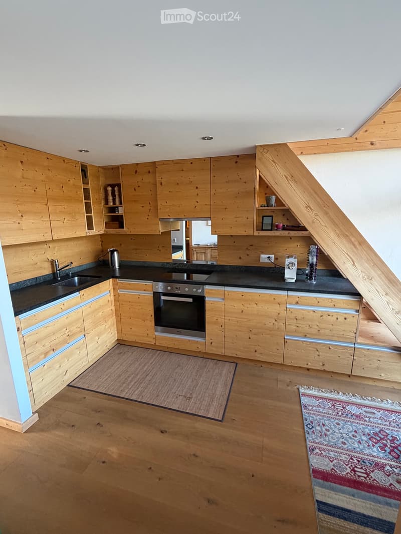 Prächtiges Duplex, hell und durchgehend (4)