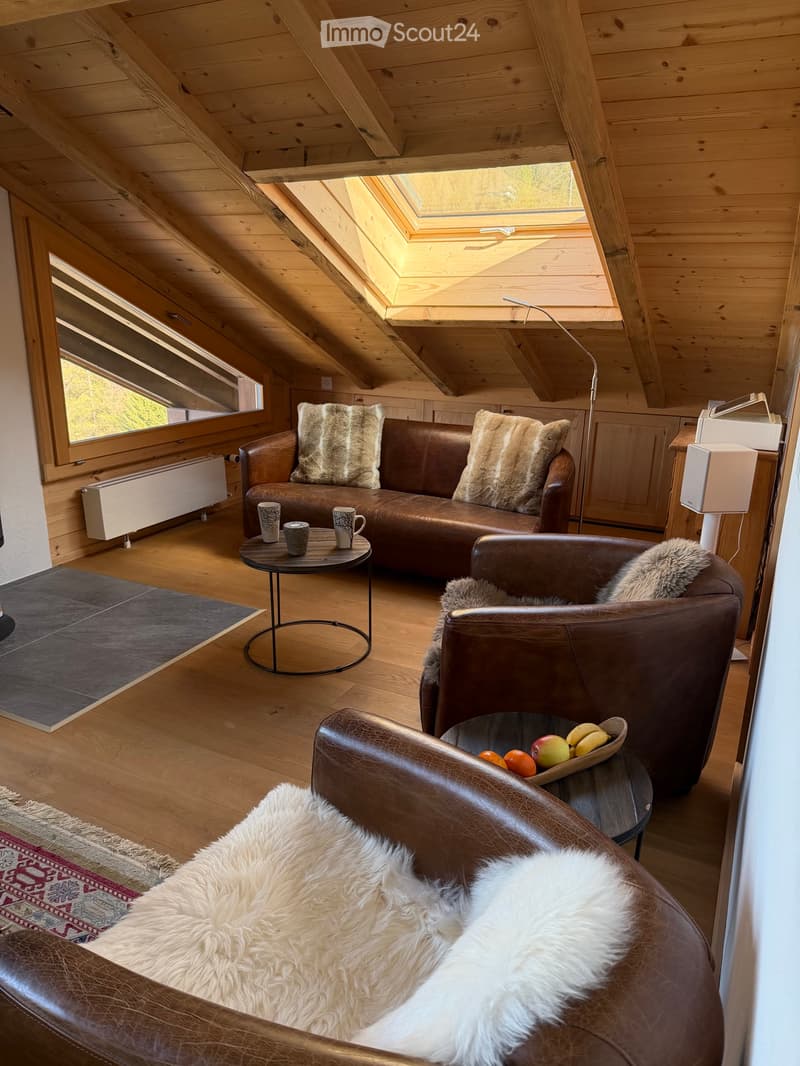 Prächtiges Duplex, hell und durchgehend (2)