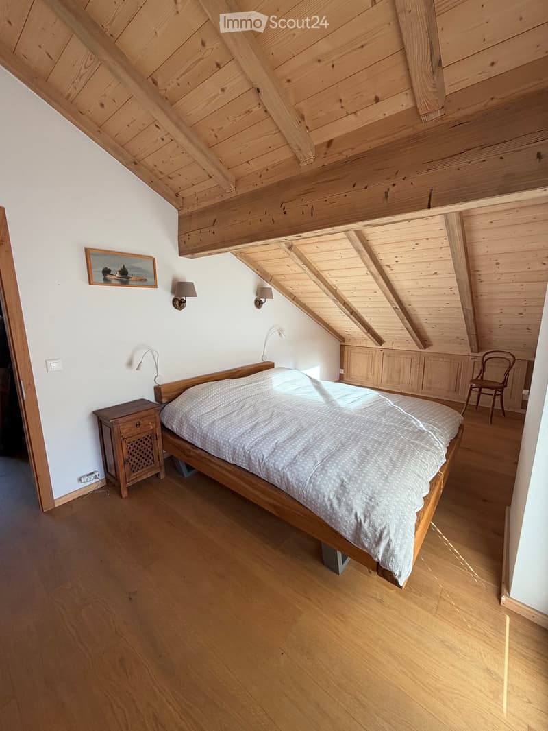 Prächtiges Duplex, hell und durchgehend (5)
