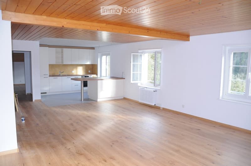 Großes Apartment mit Blick auf den Doubs (2)
