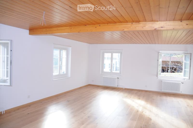 Großes Apartment mit Blick auf den Doubs (3)