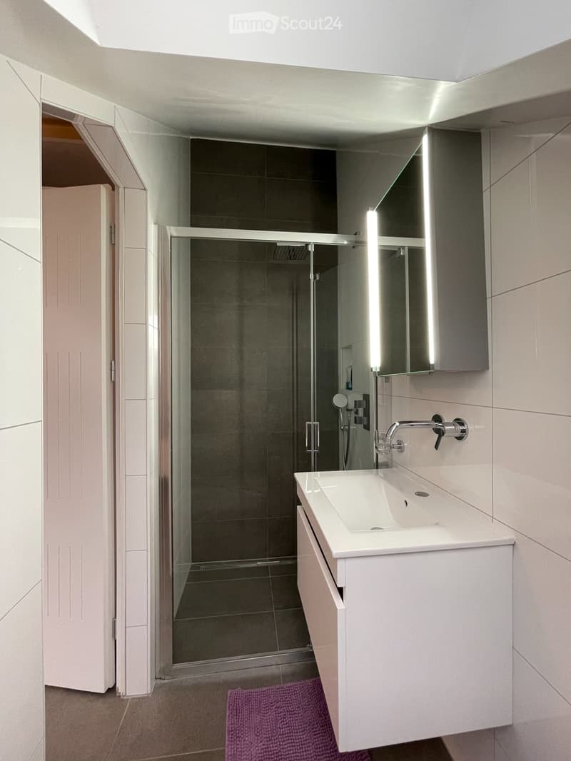 2 pièces (chambre double) meublées à louer (3)