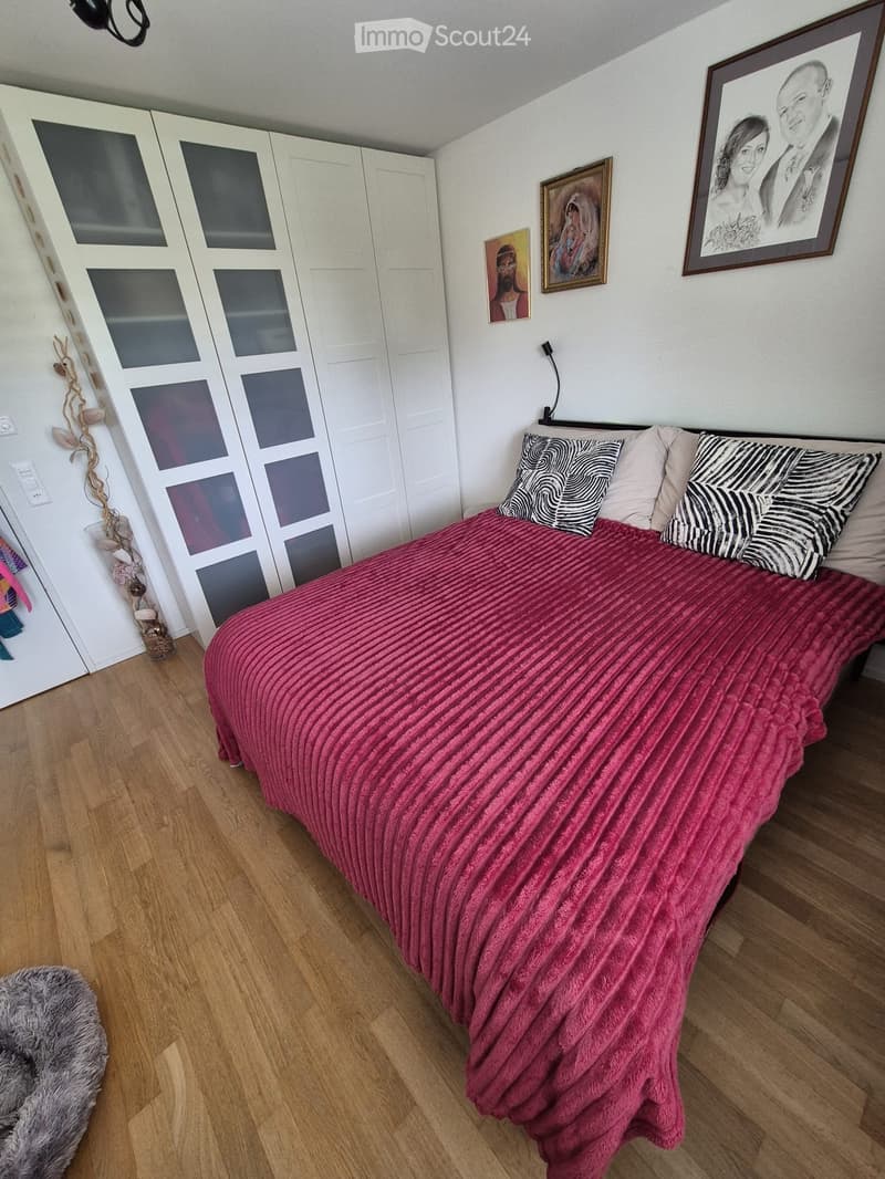 Tenant wanted (4)