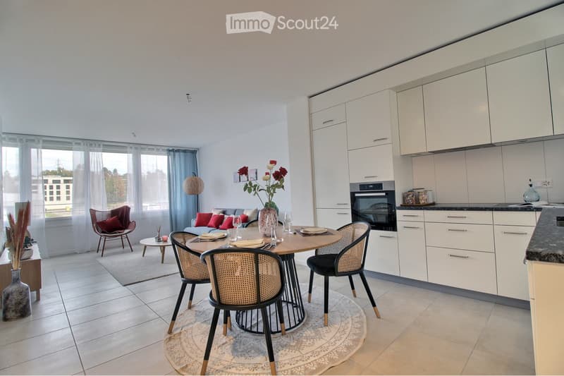 Zu vermieten 3 1/2-Zimmer-Duplex moderne (1)