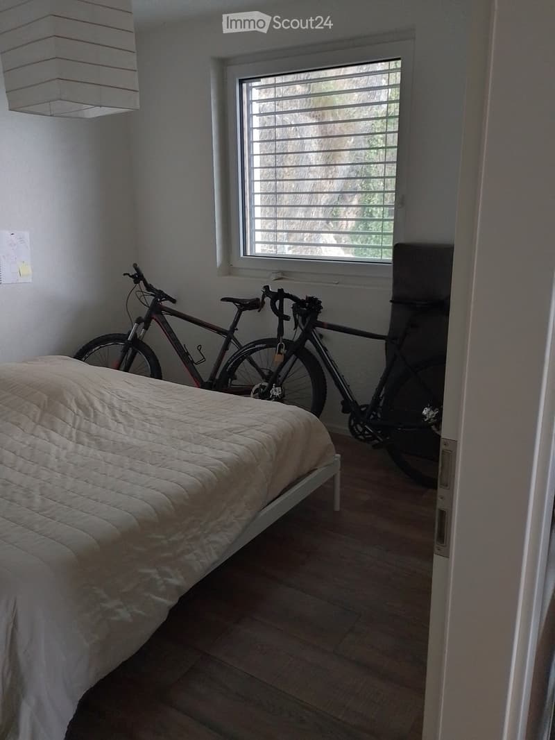 Beautiful practical apartment in the Maladière neighborhood (5)