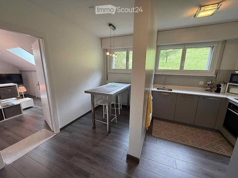 Apartment with lake view, CFF train station 1 minute walk (5)