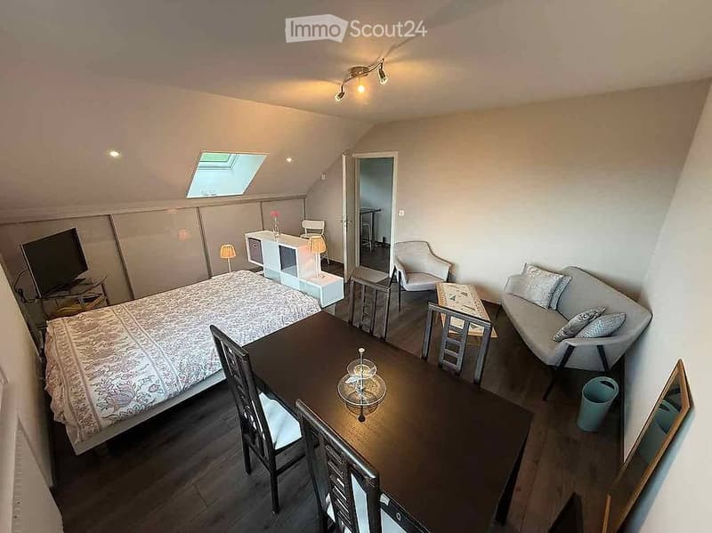 Apartment with lake view, CFF train station 1 minute walk (3)