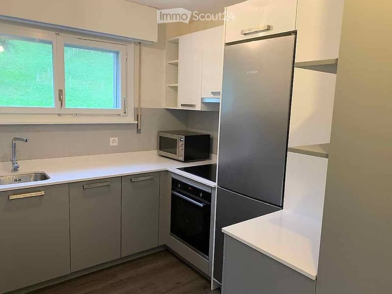 Apartment with lake view, CFF train station 1 minute walk (4)