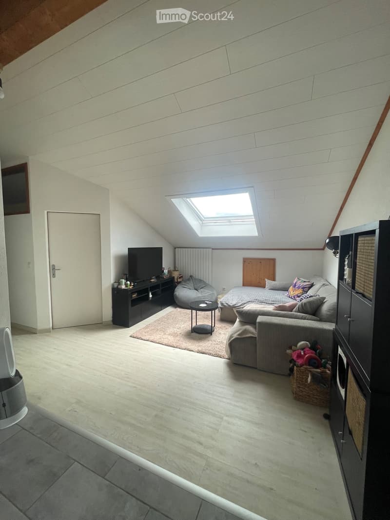 Appartement 2 pièces à louer (1)