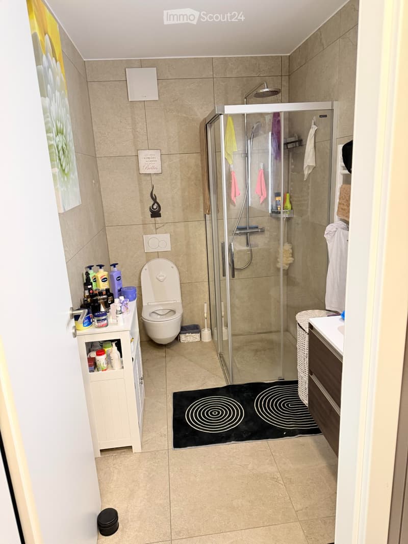 Beautiful furnished apartment of 2.5 rooms located in Romont (3)