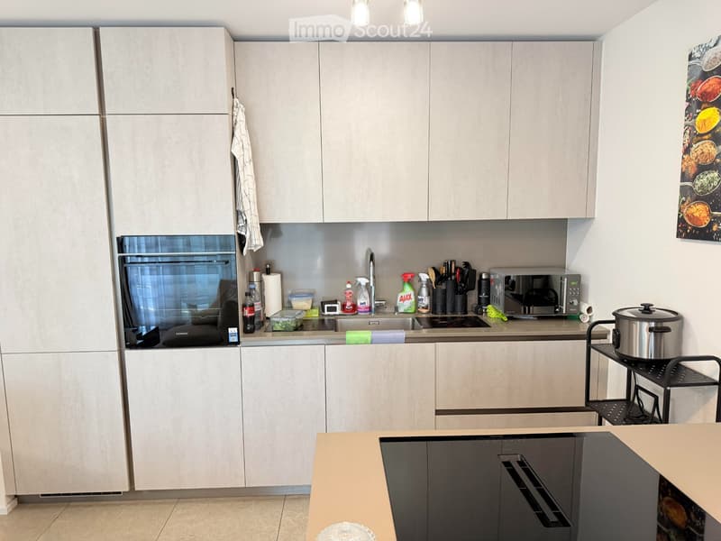 Beautiful furnished apartment of 2.5 rooms located in Romont (5)