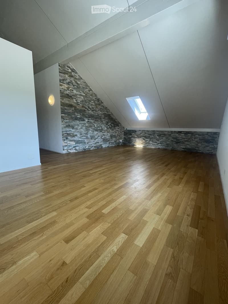 Appartamento in mansarda (3)