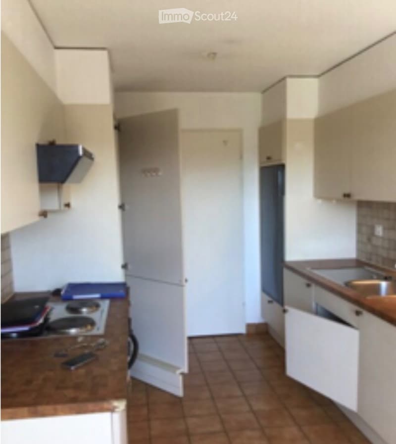3,5 Zimmer schönes helles Apartment im letzten Stock (5)