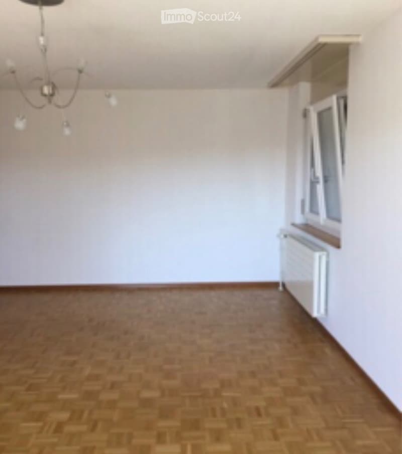 3,5 Zimmer schönes helles Apartment im letzten Stock (3)