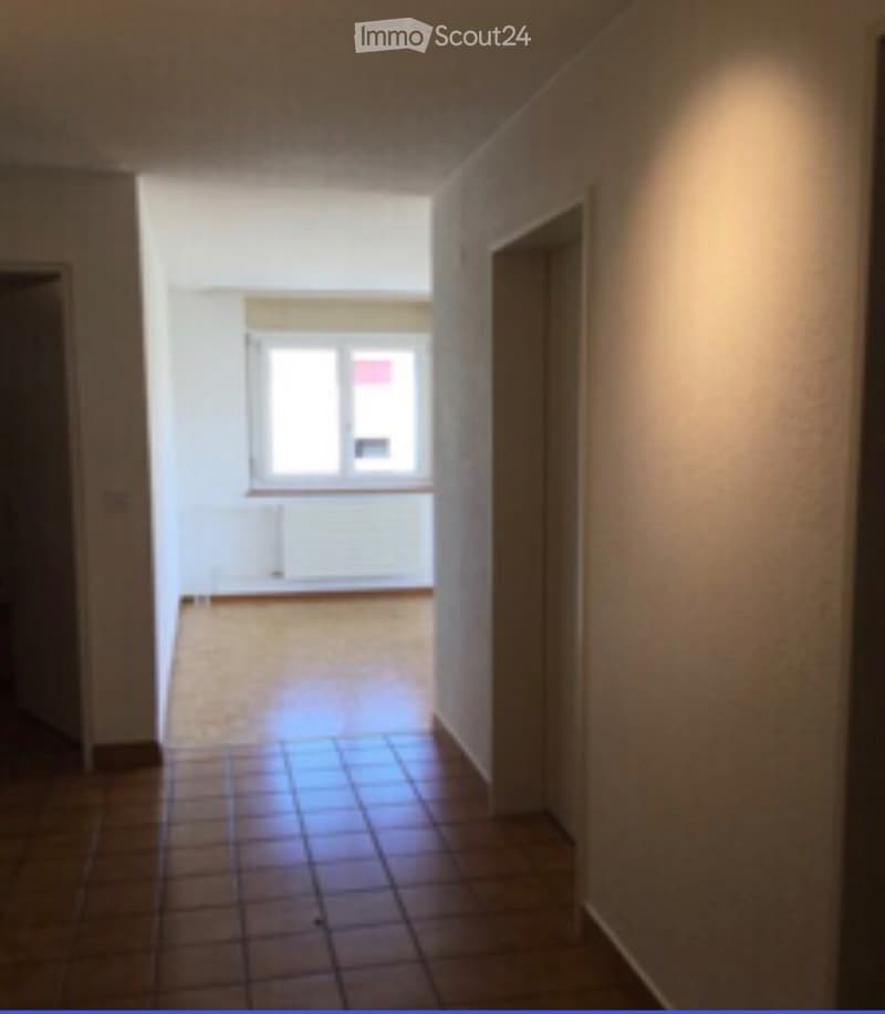 3,5 Zimmer schönes helles Apartment im letzten Stock (2)