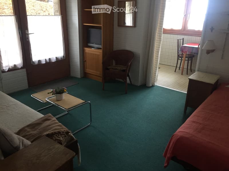 Furnished studio Chailly Lausanne (5)