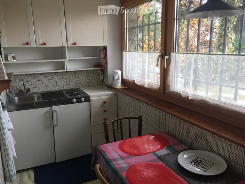 Furnished studio Chailly Lausanne (3)