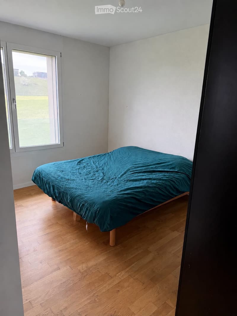 Apartment 4.5 rooms (2)
