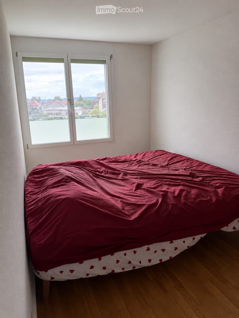 Apartment 4.5 rooms (3)