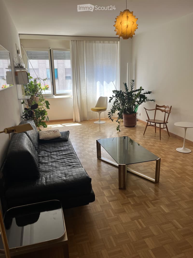 Großes 3-Zimmer-Appartement zur Untervermietung in Plainpalais 1.6.26 - 31.8.26 (1)