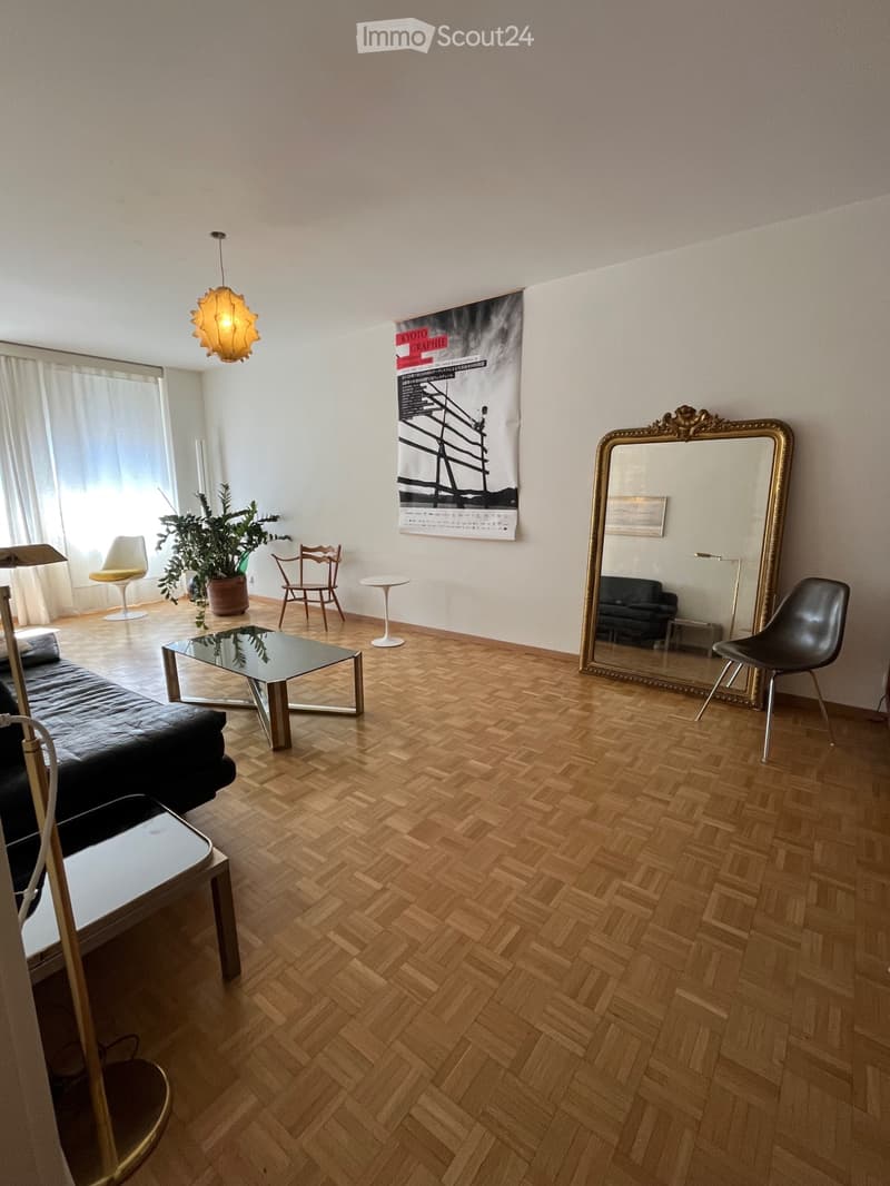 Großes 3-Zimmer-Appartement zur Untervermietung in Plainpalais 1.6.26 - 31.8.26 (2)