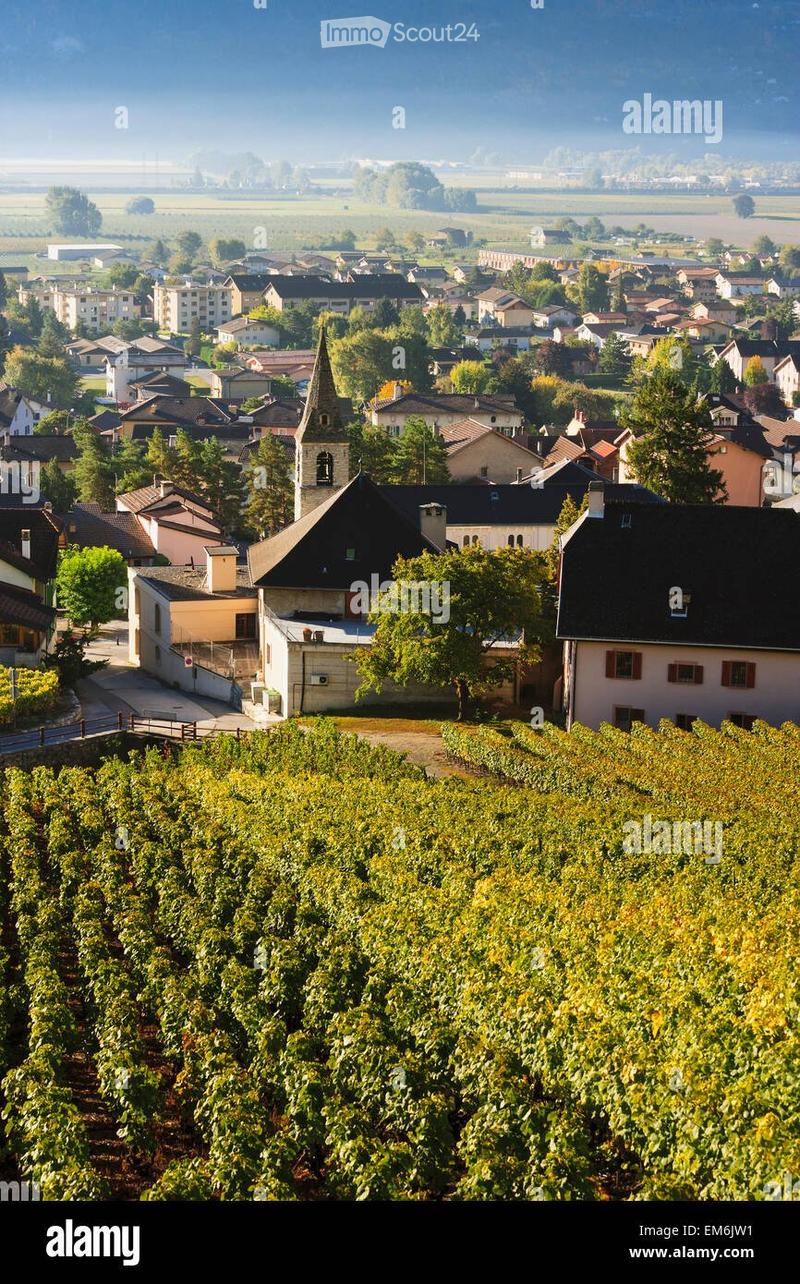 Appartement meublé calme dans les Alpes valaisannes avec jardin & parking (1)