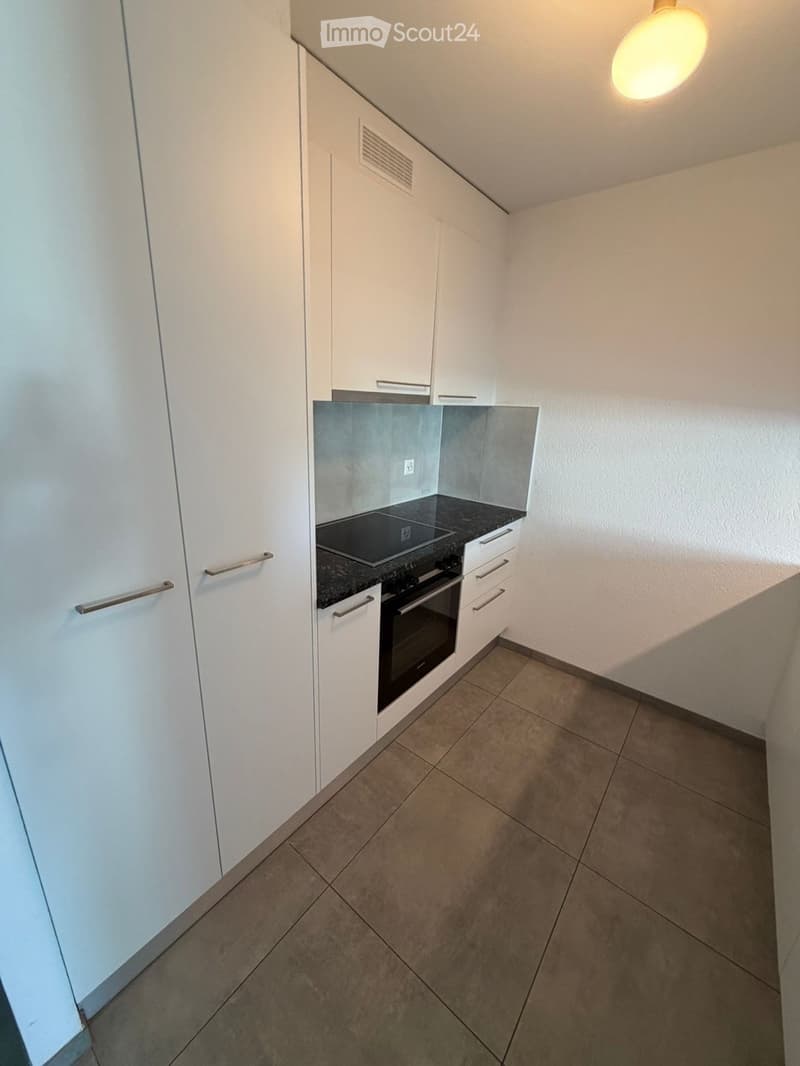 Ripreso in affitto 2,5 locali disponibile rapidamente (4)