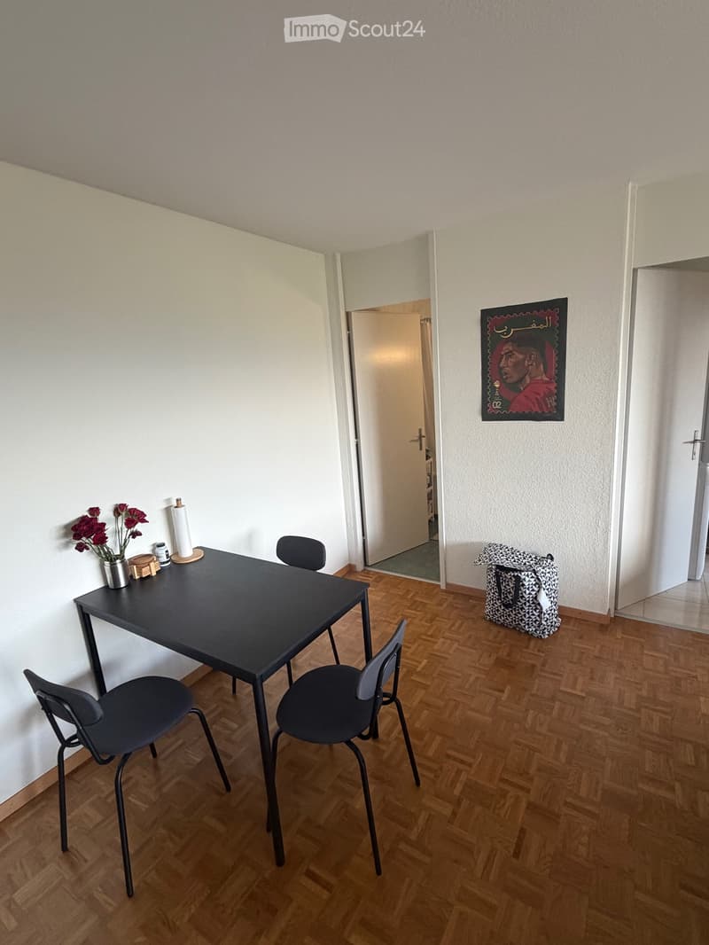 Möbliertes 2.5-Zimmer-Appartement mit Panoramablick (2)