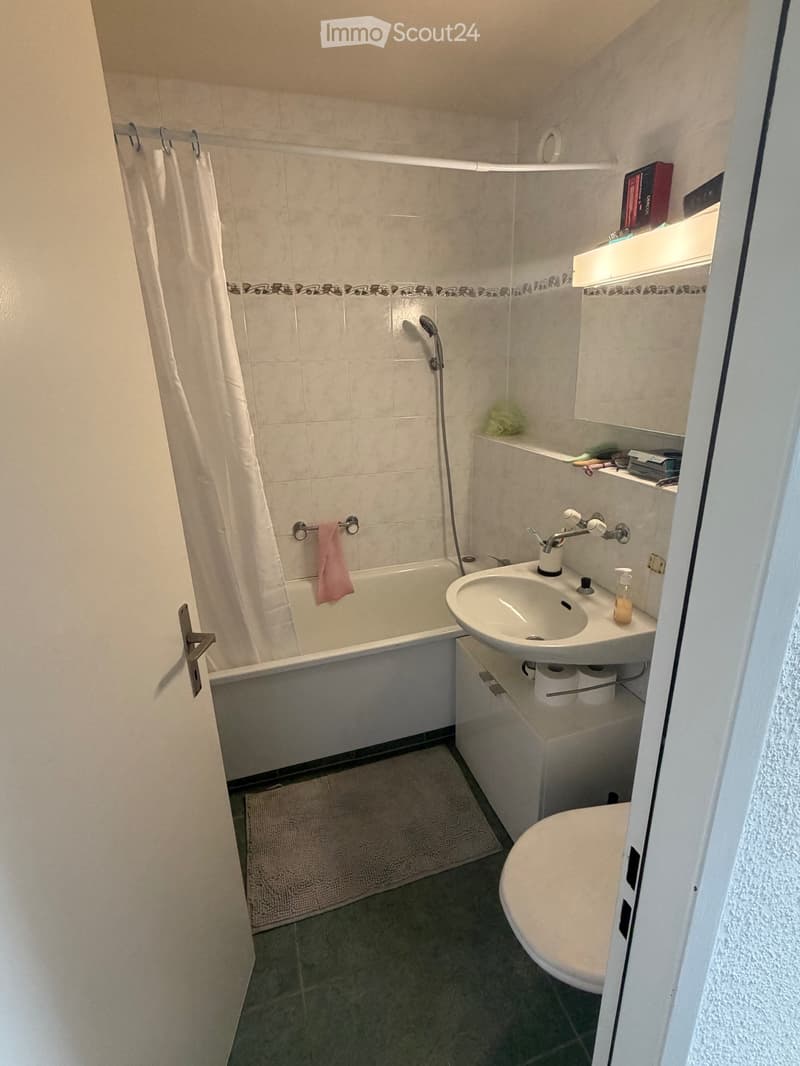 Möbliertes 2.5-Zimmer-Appartement mit Panoramablick (5)