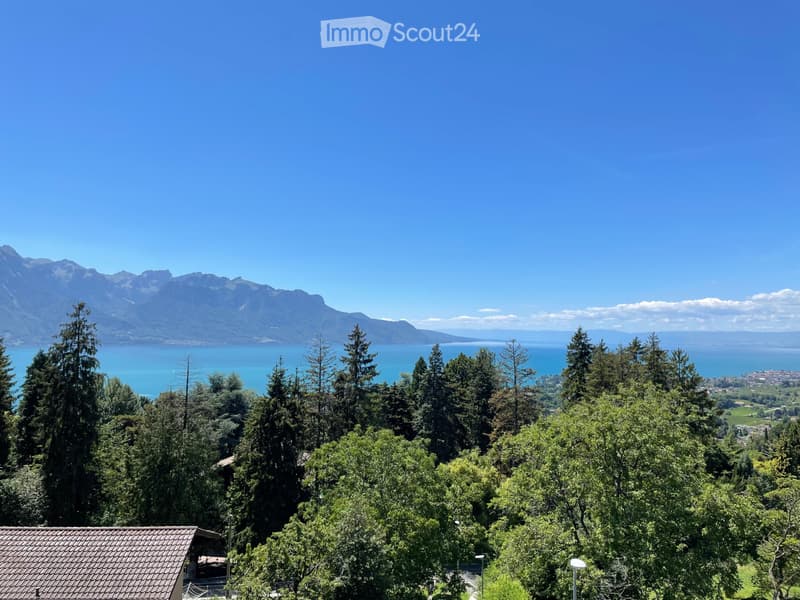 Villa moderne avec superbe vue lac (1)